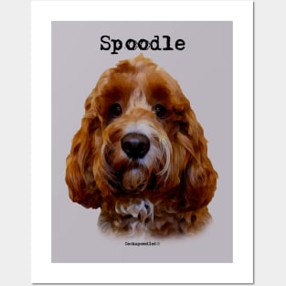 Red Spoodle / Cockapoo Dog Posters and Art